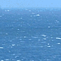 �n���C�s���Y�A�n���C�����O�X�e�C