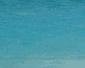 �n���C�s���Y