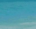 �n���C�s���Y