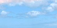 nCOXeC