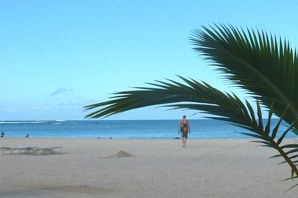 ハワイの海