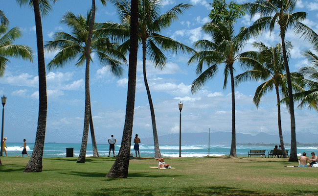 kapiolani park