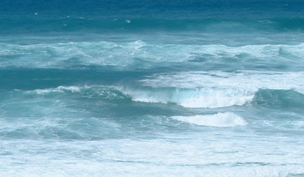 ハワイの海