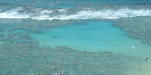 ハワイの海