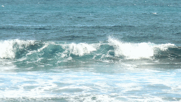 カイルアの海