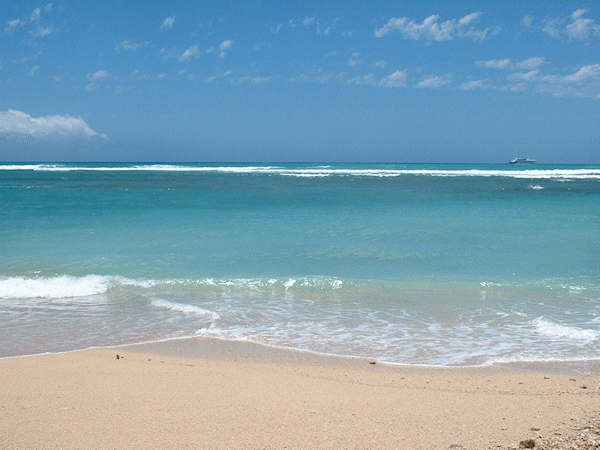 ハワイの海