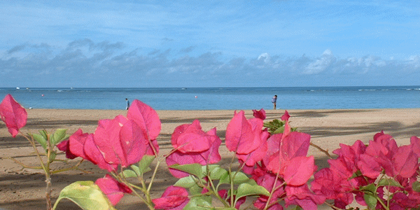 ハワイの海