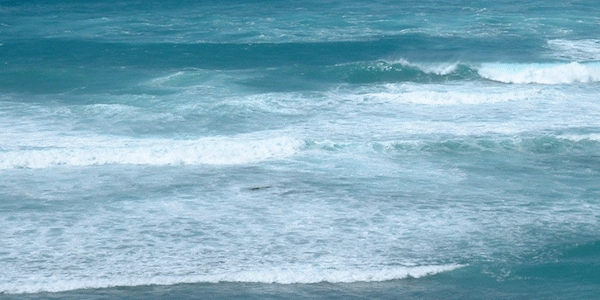 ハワイカイの海