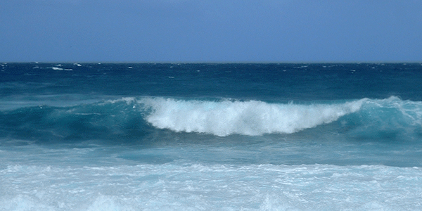 ハワイカイの海