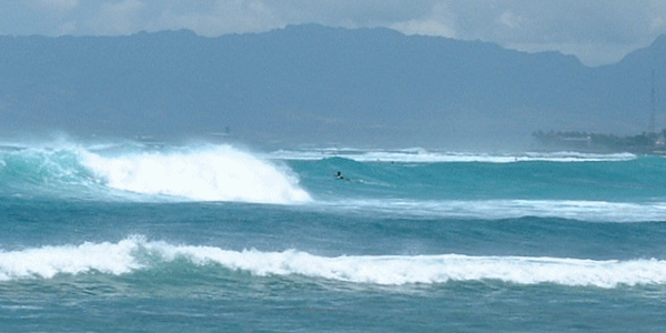 ハワイの海